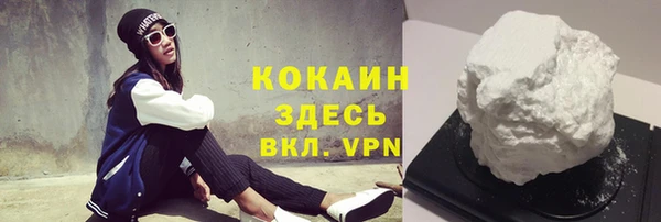 ПСИЛОЦИБИНОВЫЕ ГРИБЫ Вяземский