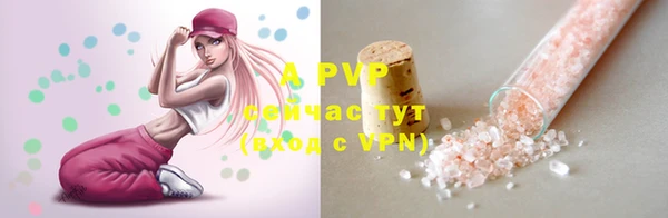 сатива Вязьма