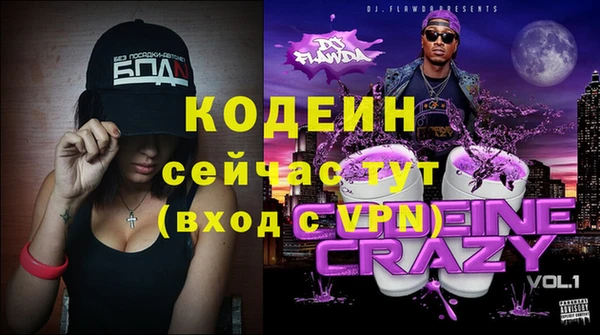 сатива Вязьма