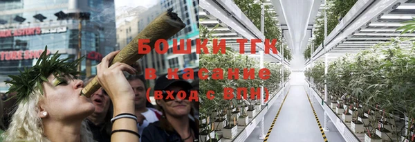 ПСИЛОЦИБИНОВЫЕ ГРИБЫ Вяземский
