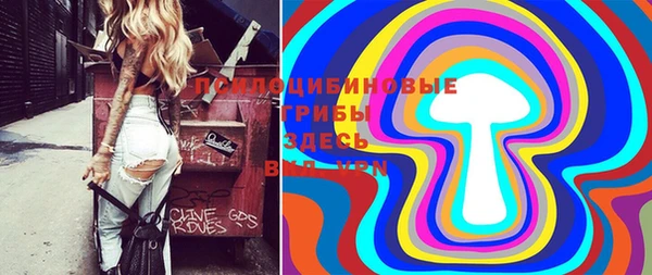 таблы Новодвинск
