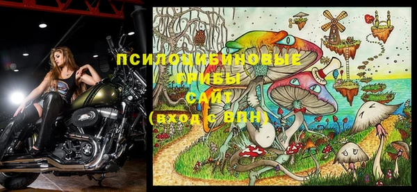 ПСИЛОЦИБИНОВЫЕ ГРИБЫ Вяземский