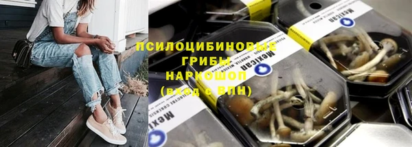 сатива Вязьма