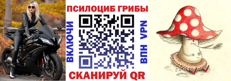 Галлюциногенные грибы прущие грибы  дарнет шоп  Первомайск 
